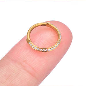 G23 Titanio 16G Pendientes de moda Nariz Oreja Piercing Anillo Cartílago Daith Aro Segmento con bisagras ASTM F136 Tit Zircon Joyería para el cuerpo - Product Image 6