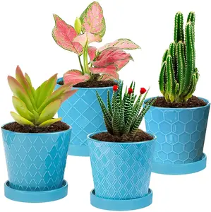 Handmade Sets of Rectangle Shape Wood Flower Pot with Plastic Original Green OEM Customized Europe Style VASE FLOOR Color Plant