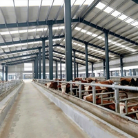Bâtiment préfabriqué moderne en structure acier lourd pour élevage avicole et laiterie Q355, installation facile, économique