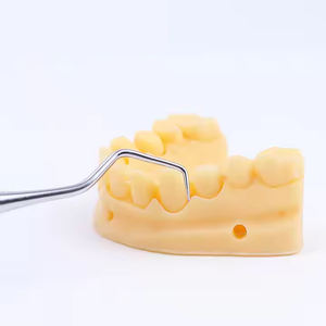 MEITE MEDICAL strumentdouble Explorer raschietto per la pulizia dei denti - Product Image 2