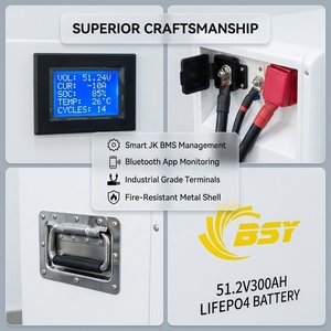 Module de batterie au phosphate de fer et de lithium LiFePO4 BSY 51,2 V 300 Ah, monté sur rack, pour système EV/UPS/hors réseau - Product Image 3
