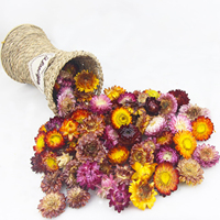 Fleurs séchées en gros, en vrac, éternelles, avec fleurs pressées mélangées, matériel floral pour la décoration intérieure, cadre photo, parfumées