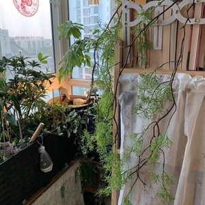 Vignes artificielles vertes, fleurs en plastique pour la décoration de la maison et du bureau, plantes suspendues au mur et au plafond, matériau EVA, couleur verte - Product Image 1
