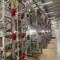 Nigéria H-Type Système de cage de batterie à couche d'abreuvement automatique Nouvelle condition pour 10000 poules et cailles reproductrices