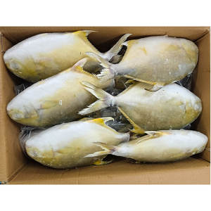 Mariscos Congelados al por Mayor, Pescado Entero Congelado de Pompano Dorado, Pescado Pomfret Dorado a Bajo Precio - Product Image 1