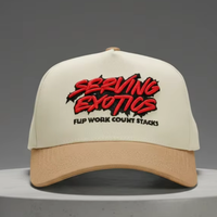 Casquettes de baseball sportives bicolores personnalisées fabriquées en usine avec logo brodé main 3D en sergé, assorties à la série de vêtements