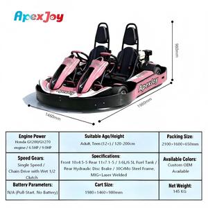 ApexJoy RACE GT PRO Duo - Go-Kart <span class=keywords><strong>de</strong></span> Gasolina <span class=keywords><strong>de</strong></span> 200cc y 6.5HP para 2 Personas, 60km/h, Chasis 30CrMo, Triple <span class=keywords><strong>Protección</strong></span>, Alquiler FEC, Precio Mayorista B2B - Product Image 2