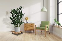Support à plantes en bois de pin bleu en forme de cheval de 12 pouces, finition sculptée à la main, design contemporain, 4 roulettes métalliques verrouillables
