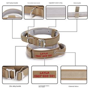 <span class=keywords><strong>Collar</strong></span> de entrenamiento táctico ligero para perros, pelo antirotura y despegado, patrón sólido acolchado de nailon, <span class=keywords><strong>Collar</strong></span> para mascotas transfronterizo - Product Image 5
