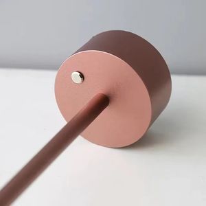 Nordic Simple Modern Metal Flexible Battery-Powered Desk <strong>Lamp</strong> <strong>Charge</strong> and Plug Dual Purpose Bedroom Ambiance <strong>Lamp</strong> - Product Image 3