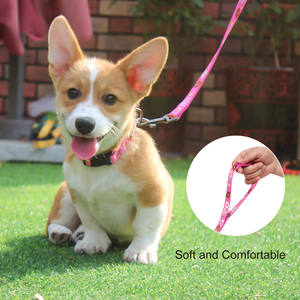 สายจูงสุนัขทำจากโพลีเอสเตอร์สุดหรูสายจูงสุนัขแบบปรับแต่งได้สายจูงสุนัขสะท้อนแสงพิมพ์ลายแฟชั่น - Product Image 6