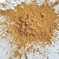 Échantillon gratuit de poudre de champignon trompette royal de qualité alimentaire, extrait de Pleurotus eryngii, polysaccharide, extraction par solvant, emballage en fût - Product Image 5