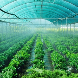ตาข่ายบังแดดสีเขียวคุณภาพสูง HDPE สำหรับโรงเรือน ทนทาน ใช้สำหรับป้องกันพืชในสวน - Product Image 4