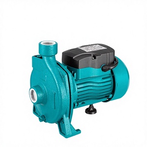 Pompe centrifuge à eau propre <span class=keywords><strong>CPM158</strong></span> 0,75 kW, fil de cuivre, OEM, petite pompe à eau de surface - Product Image 1