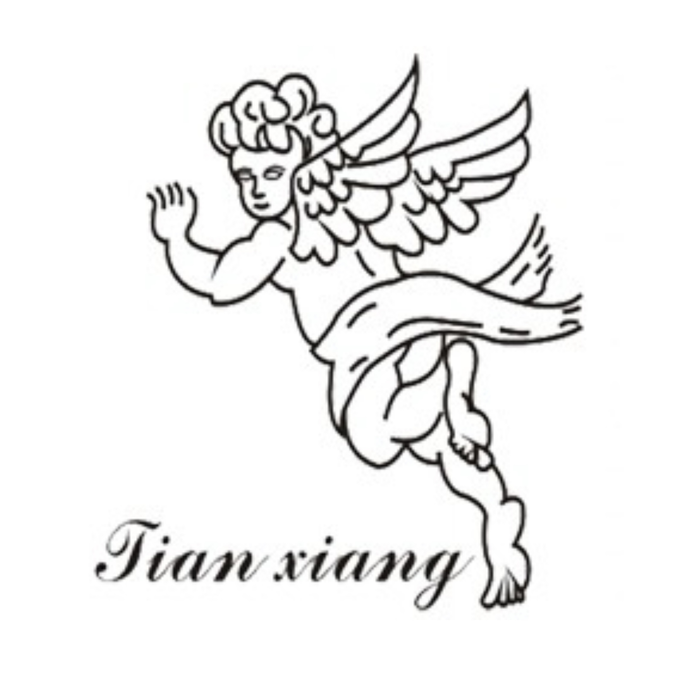 Jiashan Tianxiang Plastic Craft Co., Ltd. logo