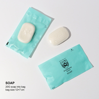 Kit d'accessoires hôteliers portables : Savon, brosse à dents et dentifrice jetables en plastique, kit de rasoir