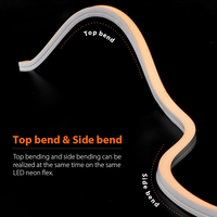 AIKEOU Meilleure vente Bande de néon LED flexible étanche IP67 16*16mm Bande de lumières LED en silicone pour l'extérieur