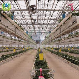 Myxl Grondloze Aardbeienkas Hydrocultuur Systeem Met Irrigatie - Product Image 4