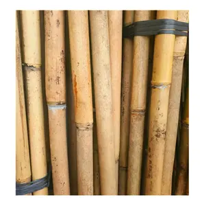 Best-selling bamboo products gardening white bamboo poles