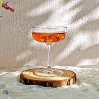 Verre à gin moderne en plastique transparent de 190 ml, gobelet à cocktail en cristal SAN pour sidecar, pour bar et club