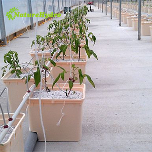 11L secchio olandese di plastica Bato per sistemi di coltivazione idroponica vasi da fiori e fioriere - Product Image 5