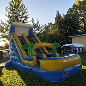 4 מ '* 6m * 5m pvc חומר חיצוני מתנפחים הטירה סגנון חדש קופצני קפיצה שקופית שקופיות מסחרי מתנפחים יבש שומר יבש לילדים - Product Image 3