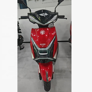 Nueva Motocicleta Eléctrica Marca Saige con Certificación EEC COC L3e, Motor ZJ de 3000W, Velocidad Máxima de 45 km/h, Carga de 240 kg, Neumático de 12 Pulgadas - Product Image 6