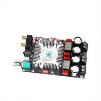 Module d'amplificateur numérique Hi-Fi haute température TPA3251 XY-AP2202, carte d'amplificateur de puissance pure DC12-36V/10A