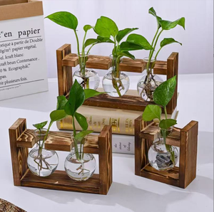 Vaso Idroponico KIKA Moderno ed Ecologico <span class=keywords><strong>in</strong></span> Vetro e <span class=keywords><strong>Legno</strong></span> Intagliato a Mano, Design Circolare, Porta Piante per Interni/Esterni, Decorazione <span class=keywords><strong>da</strong></span> Tavolo - Product Image 3