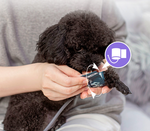 Esfigmomanómetro veterinario de 2024, medidor de presión arterial, monitor de presión arterial, NIBP manguito, cuidado de animales para perros/gatos/mascotas - Product Image 5