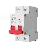 Productos seleccionados, disyuntores en miniatura, interruptor de aire en miniatura, 1P, 2P, 3P, 4P, 6KA, 100A, tipo RCCB, MCB, bajo voltaje