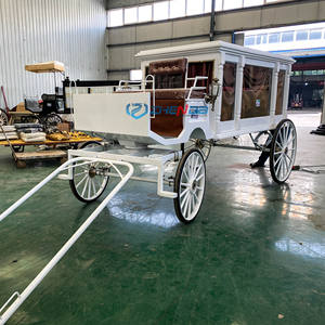 Hearse Bestattungs wagen Bestattungs wagen Pferd gezogen Leichen wagen zum Verkauf Hearse Van Fabrik preis - Product Image 3