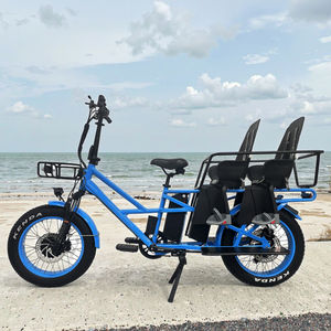 Fabricant OEM ODM de vélos électriques cargo à 2 roues avec sièges pour bébés - Product Image 4