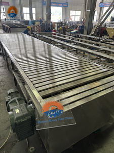 Convoyeur horizontal résistant à la corrosion pour abattage de porcs, équipement de traitement d'abattage, machinerie d'abattoir - Product Image 6