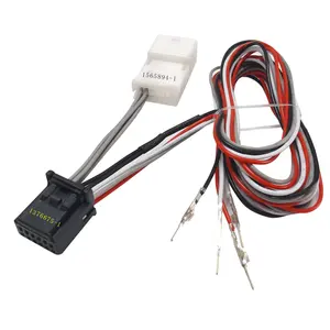 Montaje de arnés de cableado de audio para coche, Conector personalizado 025, HSG, S/BODY 12P, 1376675-1, 1565894-1