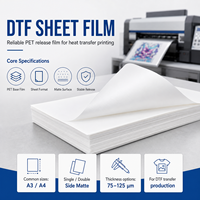 Film PET A3 A4 DTF pour transfert thermique, double face, pour imprimante DTF, impression sur t-shirt