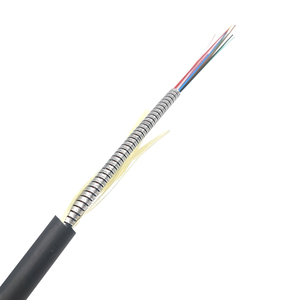 Cable de Fibra Óptica Blindado para Interiores y Exteriores, Tubo de Acero Inoxidable 12c, OM2 / OM3 / OM4 / G652D / G657A1 / G657A2, Anti-Roedores - Product Image 1