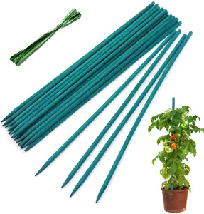 12/16/19/24 Inch Colorful Bamboo Sticks Flower Plant Sticks With Green Metallic Twist Ties