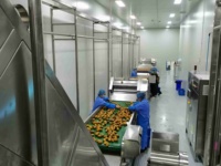 Complete Mango Verwerkingslijn voor Puree, Sap, Gedroogd Fruit & Jam |   Multifunctionele apparatuur voor de productie van fruitpasta