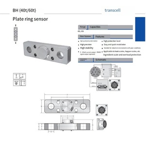 VEIDT Weighing for American Transcell Original BH-100t, BH-130t, BH-160t <b>Plate</b> <b>Ring</b> Type Sensors VEIDT Weighing for American - Product Image 2