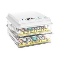 Incubateur d'Œufs Automatique en Gros, Neuf, Petit Système d'Incubation Ménager pour Élevage de Poulets, Prix Abordable pour Ferme Avicole