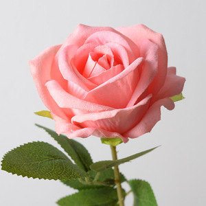 Hoa Hồng 2025 hoa nhân tạo flannel hoa hồng ngọc trai đơn sự kiện trang trí tiệc cưới - Product Image 3