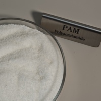 Polyacrylamide PAM à haute efficacité pour le traitement des boues industrielles et la dessalement de l'eau
