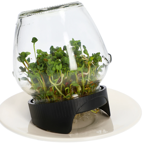 Tarro Mason de boca ancha de 86mm, vidrio transparente de grado alimenticio con tapa de germinación para tarro de filtro de germinación de semillas para uso en <span class=keywords><strong>crema</strong></span> - Product Image 2