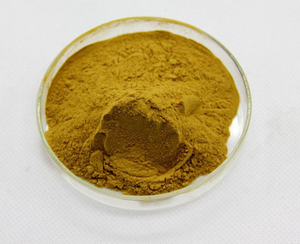 สารสกัดจากราก Baikal skullcap สารสกัดจากราก Scutellaria Baicalensis Georgi สารสกัดจาก baicalin Scutellaria - Product Image 2