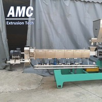 Ligne de production de riz amplifiée Americhi, nutritionnelle + riz cassé à la machine de fabrication de riz entier