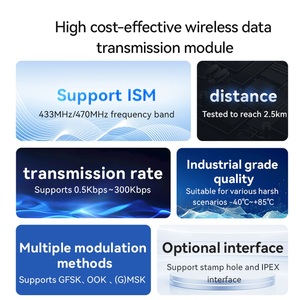 Ebyte ODM E49 Series Pure Hardware Wireless Module Wireless Data Transmission Module 433MHz 868MHz 915MHz 20dBm 2.5-5.5km Iot - Product Image 3