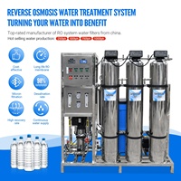 Machine de filtration d'eau par osmose inverse 500 l/h 1000 l/h en acier inoxydable pour le traitement de l'eau destinée à l'embouteillage