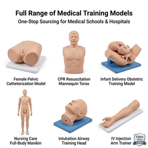 Modelo Avanzado de Cateterización Femenina, Maniquí de Enseñanza y Entrenamiento Médico para Hospitales, Estudiantes de Medicina o Enfermeras - Product Image 5