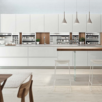 Ensemble d'armoires de cuisine BAINNEG, fabricant de meubles de cuisine, armoires de cuisine personnalisées en acier inoxydable, fabrication professionnelle sur mesure
